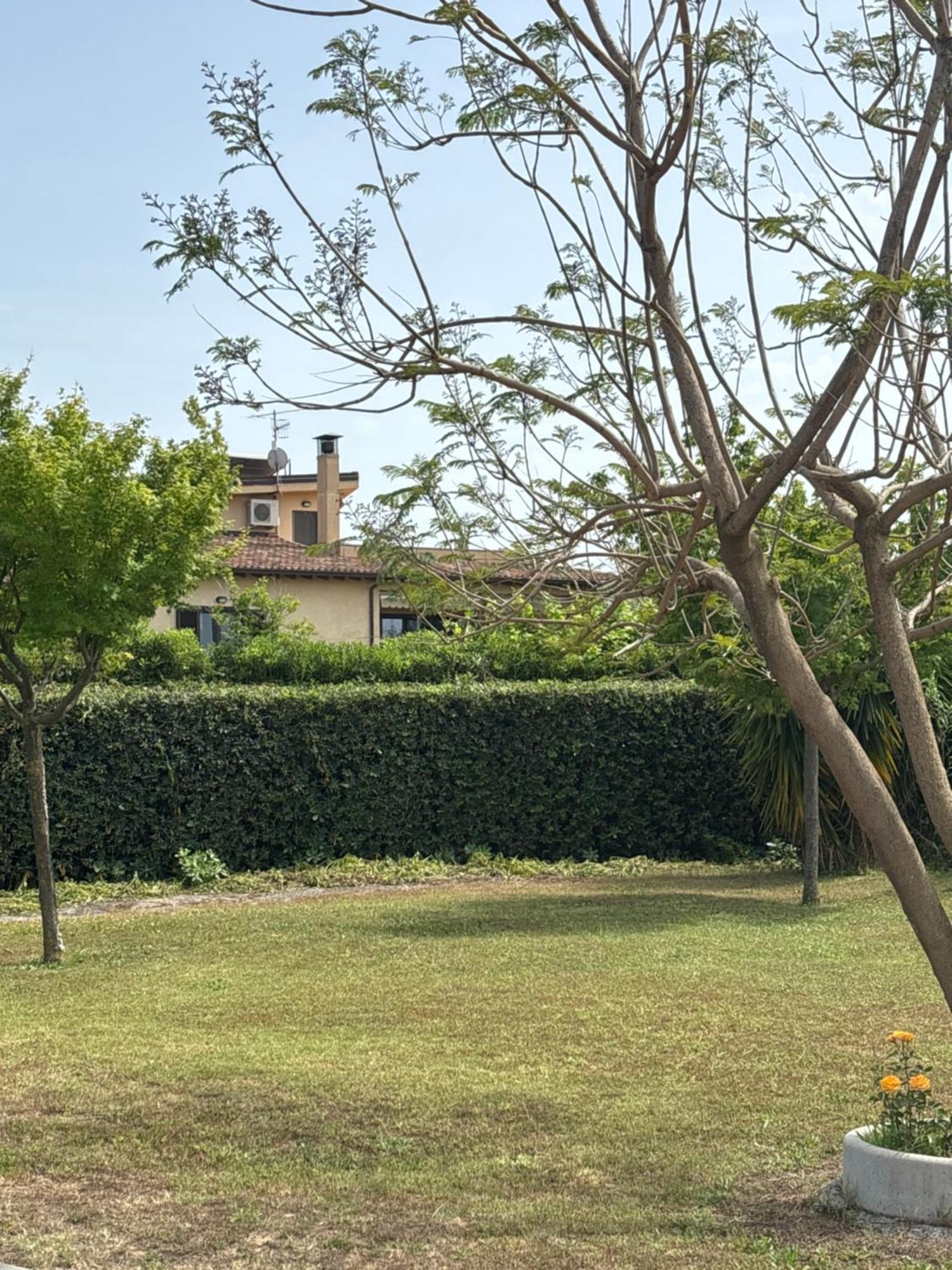 Villa Laregina Grisolia Exterior foto